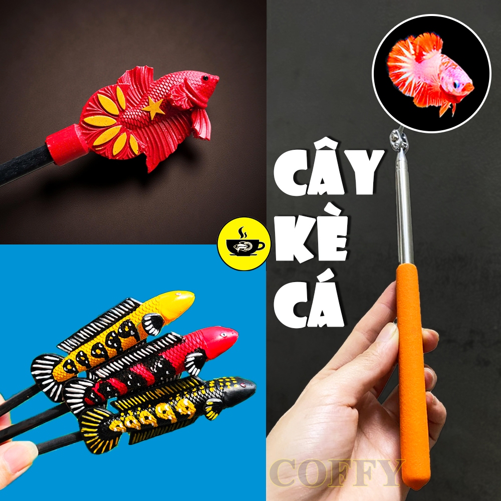 Kính kè cá Star VN - Gương kè - Cây Kè cá Betta Lóc La Hán - Huấn Luyện Cá Sung Trang Trí Bể Cá