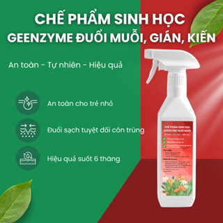 Chế phẩm sinh học xịt đuổi muỗi, gián, kiến Geenzyme từ thiên nhiên – An toàn, hiệu quả vượt trội