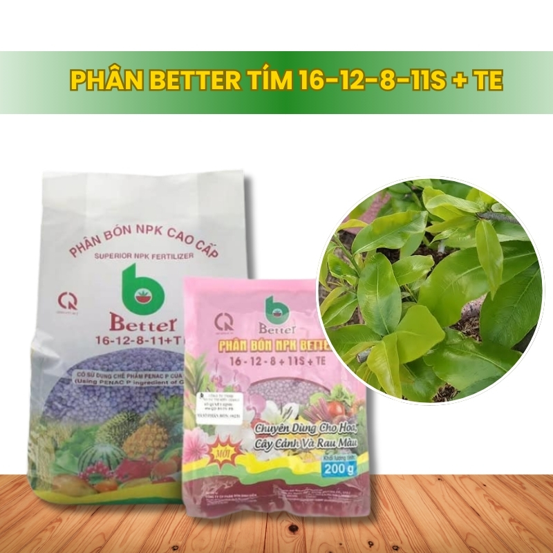 Phân Bón NPK Better NPK 16-12-8-11S + TE, Nảy Chồi, Xanh Lá