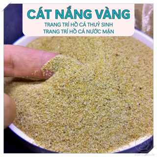 Cát Nắng Vàng Hạt Mịn (1KG) | Cát trải nền trang trí hồ cá thuỷ sinh, hồ cá biển, bán cạn