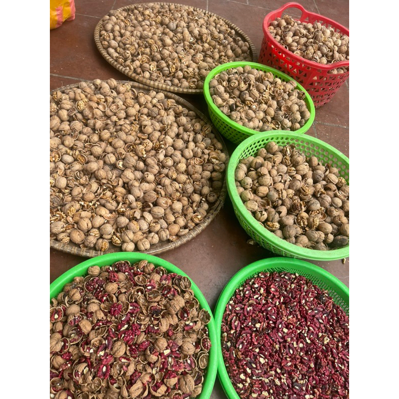 COMBO 2KG QUẢ ÓC CHÓ VỎ GIẤY
