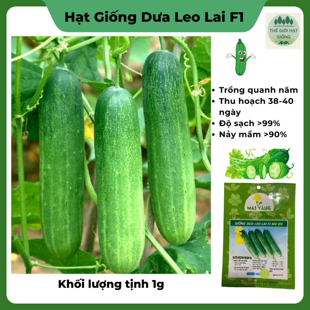 [Gói 1gr] Hạt giống dưa leo, dưa chuột