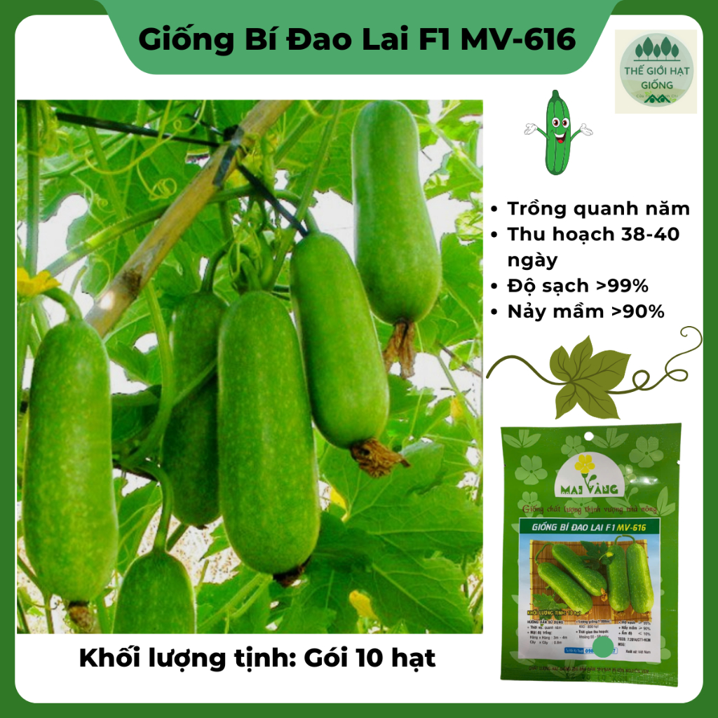[Gói 10 hạt] Hạt giống Bí Đao F1