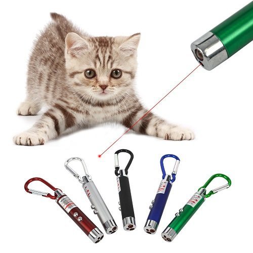 Đèn Laser Đồ Chơi Tương Tác Cho Mèo – Giúp Bé Vận Động, Vui Chơi Không Chán