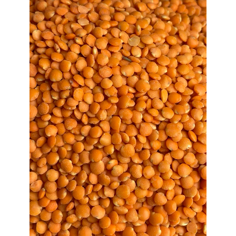 ĐẬU LĂNG ĐỎ HỮU CƠ-1kg