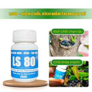 LS80 | Keo Kích Mầm, Kích Chồi Cho Cây Tại Mọi Vị Trí