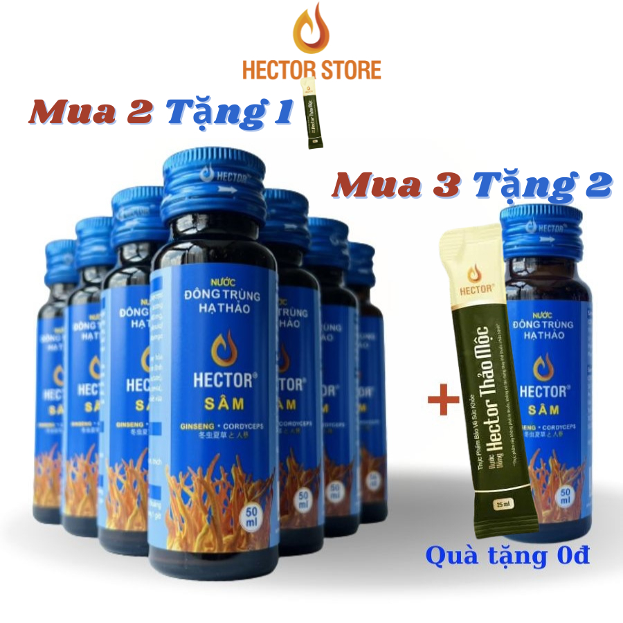 Đông trùng hạ thảo nước Hector kết hợp Sâm (hộp 10 chai) Hector Store VN