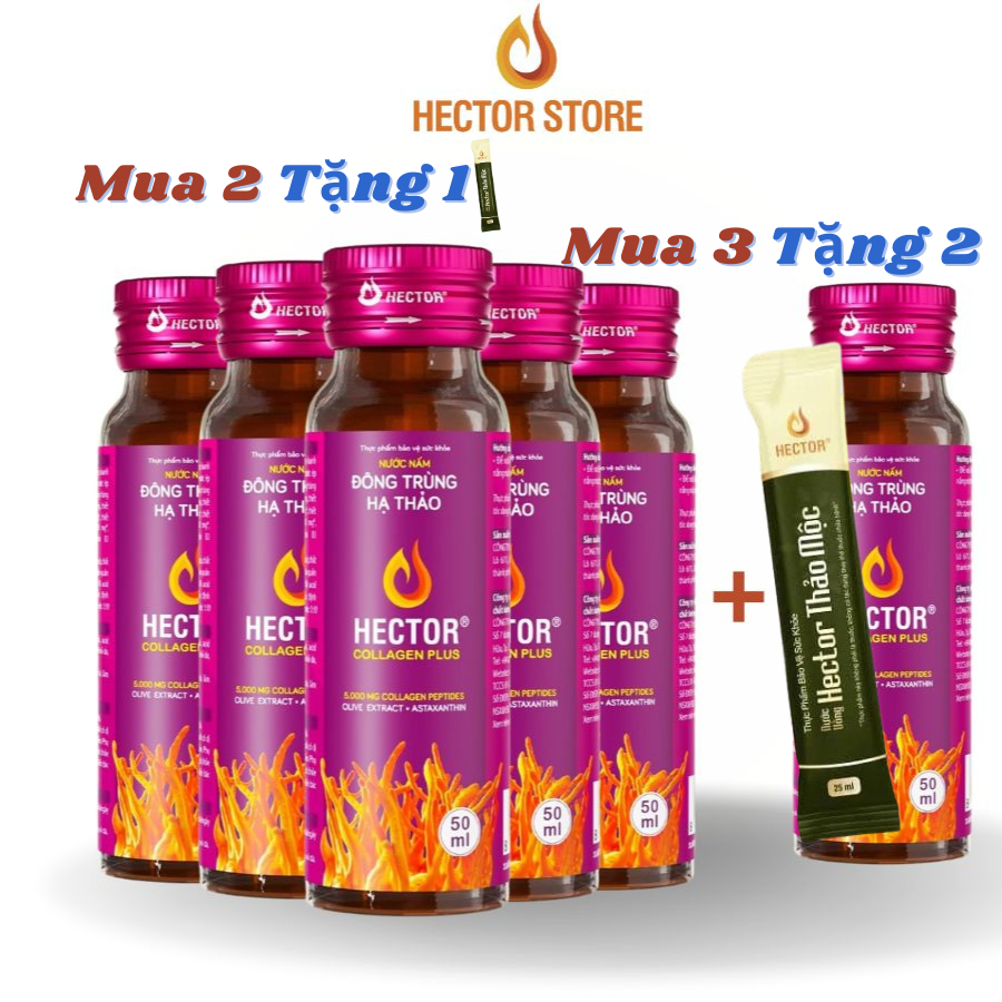 Hector Collagen Plus Đông Trùng Hạ Thảo (hộp 10 chai)