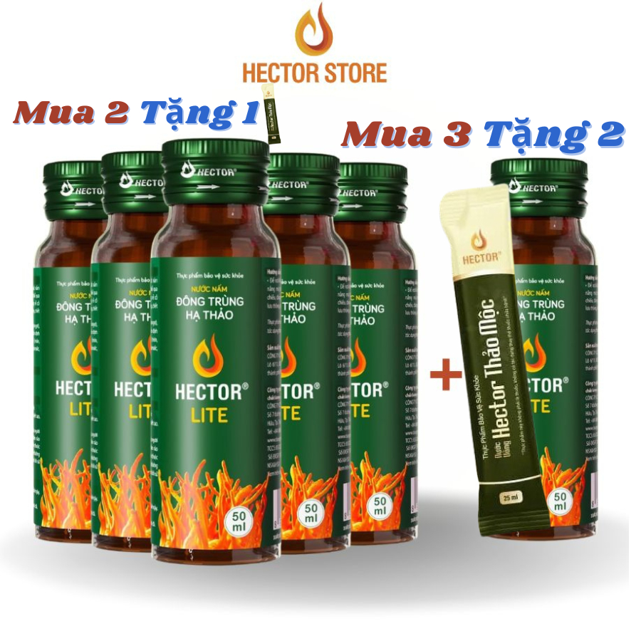Hector Lite Đông Trùng Hạ Thảo (hộp 10 chai)