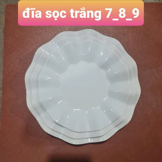 Đĩa phíp nhựa tròn hoa đẹp mắt nhiều kích thước 