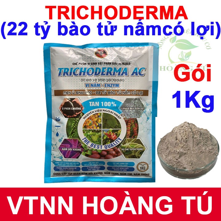 NẤM ĐỐI KHÁNG TRICHODERMA BACILLUS VTNN HOÀNG TÚ ( Chuyên dùng để ủ phân hữu cơ và kiểm soát nấm bệnh) GÓI 1KG