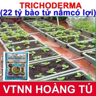 NẤM ĐỐI KHÁNG TRICHODERMA BACILLUS VTNN HOÀNG TÚ ( Chuyên dùng để ủ phân hữu cơ và kiểm soát nấm bệnh) GÓI 1KG