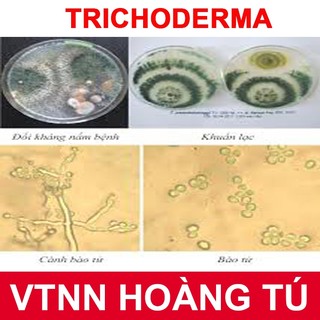 Nấm Đối Kháng Trichoderma  VTNN HOÀNG TÚ gói 1kg