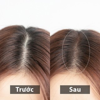 Phấn Tóc Che Khuyết Điểm Thưa Tóc - Phấn Phủ Che Điểm Trán Chân Tóc - Che Hói Đầu