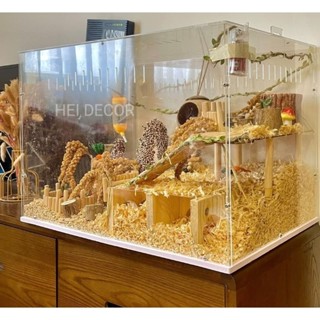  Chuồng Trong Suốt Nuôi Chuột Hamster Bò Sát Cỡ Lớn 