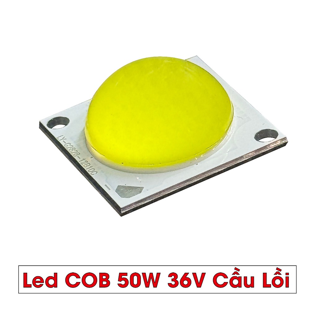 Mắt led COB 36v-50w cầu lồi .