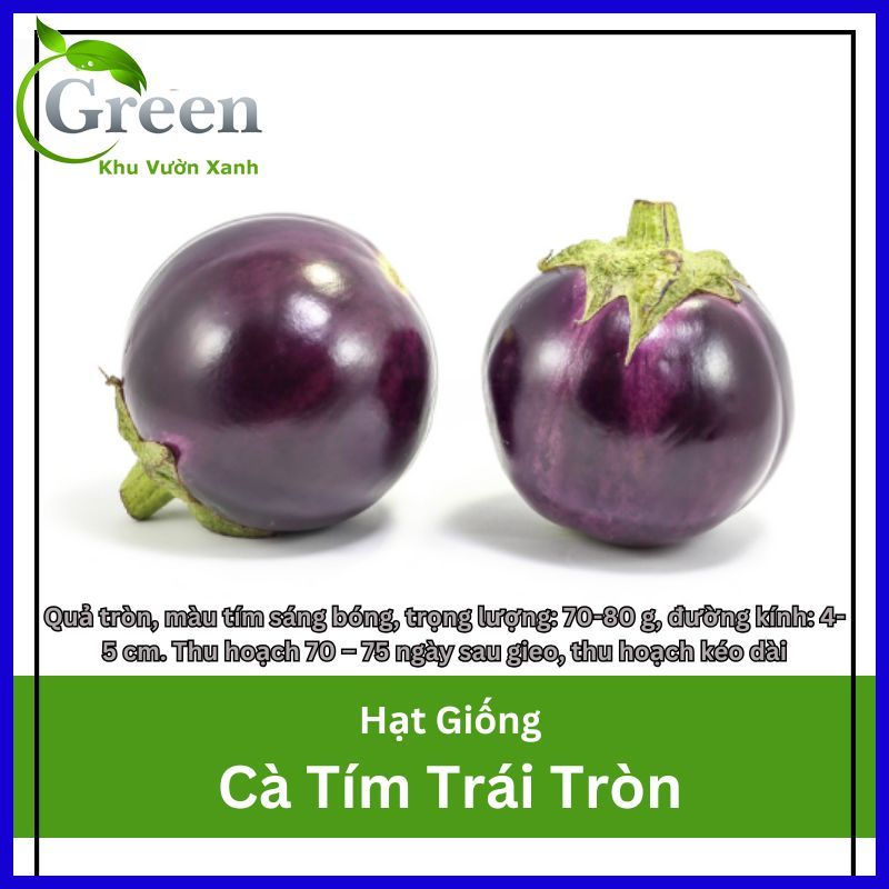 Hạt Giống Cà Tím Trái Tròn Sai Trái Ít Hạt, Dễ Trồng Thu Hoạch Kéo Dài