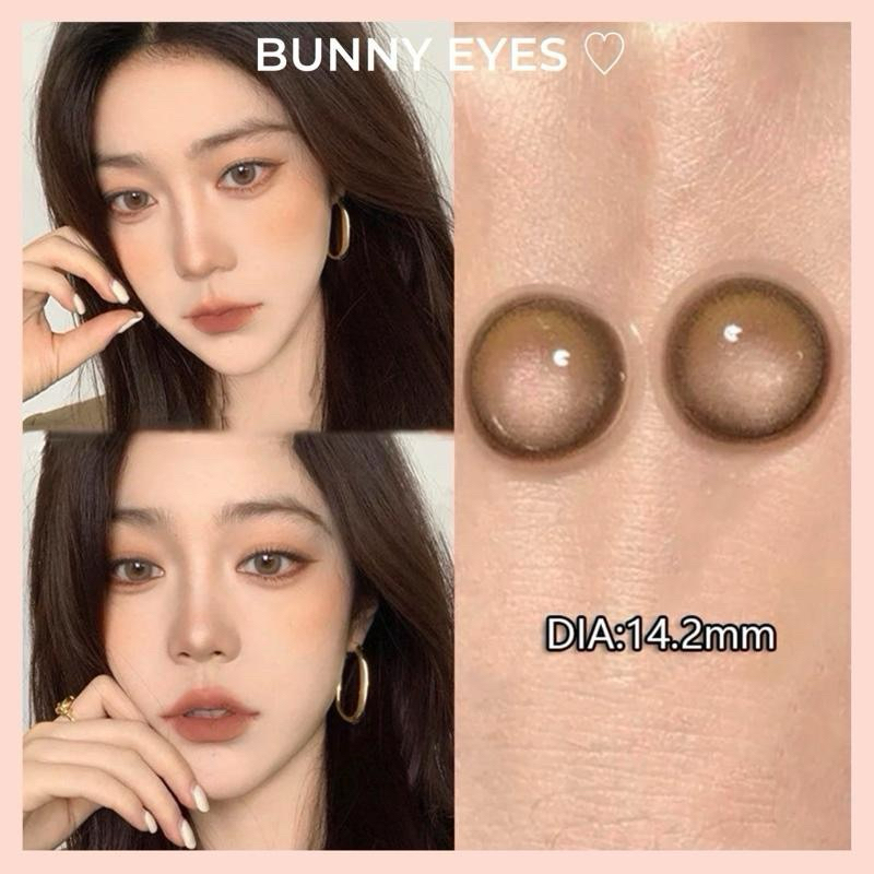 Kính Áp Tròng Lens Nâu Tây Shimmer Brow Size 14.2mm Độ Cận Từ 0.00 Đến 6.00 Độ (Tặng Kèm Khay Dụng C