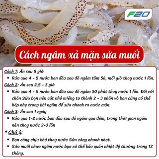 (2 Kg) Sứa Biển Làm Gỏi - Thân Sứa Biển Muối Giòn - Chưa xả mặn