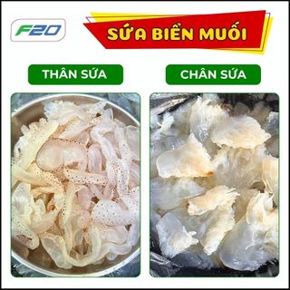 (2 Kg) Sứa Biển Làm Gỏi - Thân Sứa Biển Muối Giòn - Chưa xả mặn