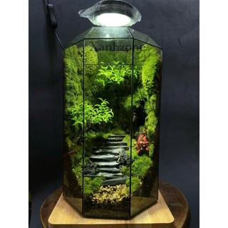 Đá bậc thang set hồ bán cạn, terrarium. túi 15 viên