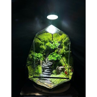 Đá bậc thang set hồ bán cạn, terrarium. túi 15 viên