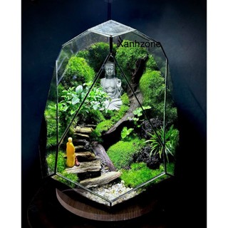 Đá bậc thang set hồ bán cạn, terrarium. túi 15 viên