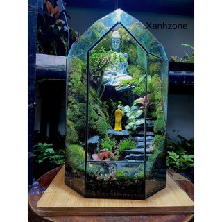 Đá bậc thang set hồ bán cạn, terrarium. túi 15 viên