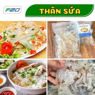 (2 Kg) Sứa Biển Làm Gỏi - Thân Sứa Biển Muối Giòn - Chưa xả mặn