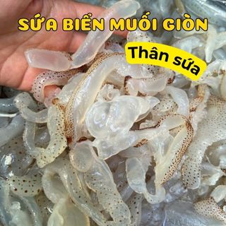 (2 Kg) Sứa Biển Làm Gỏi - Thân Sứa Biển Muối Giòn - Chưa xả mặn