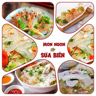 (2 Kg) Sứa Biển Làm Gỏi - Thân Sứa Biển Muối Giòn - Chưa xả mặn