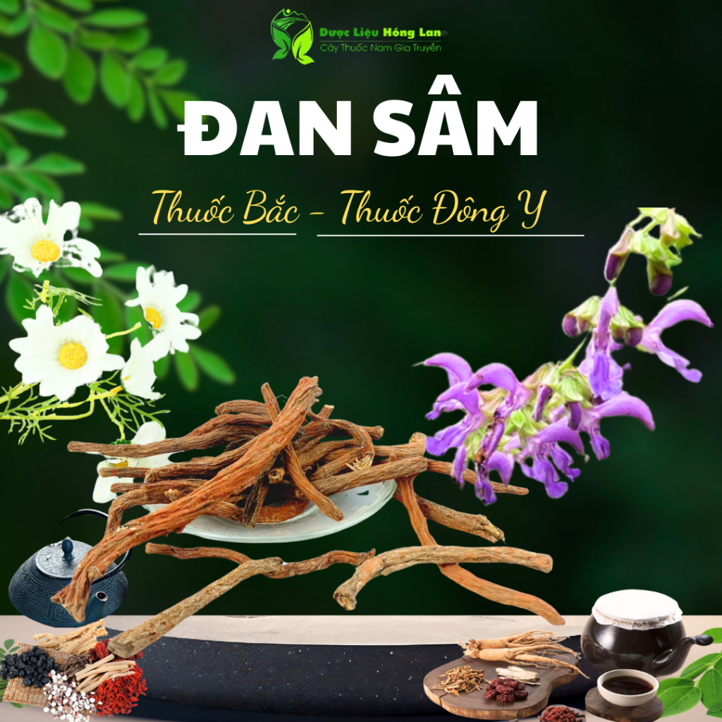 ✅[THƯỢNG HẠNG] Đan Sâm đẹp loại 1 - (Hàng chính hãng)