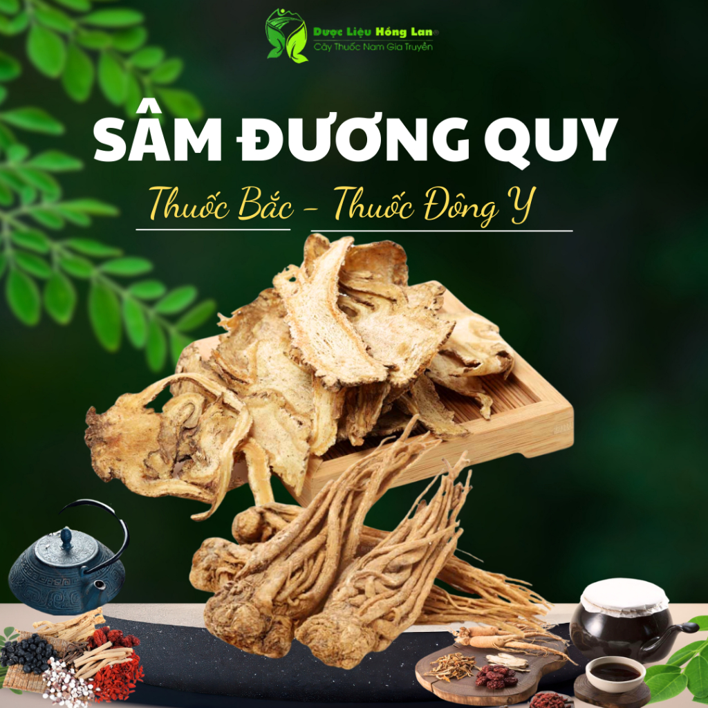 ✅[THƯỢNG HẠNG] Đương Quy sắt lát loại 1