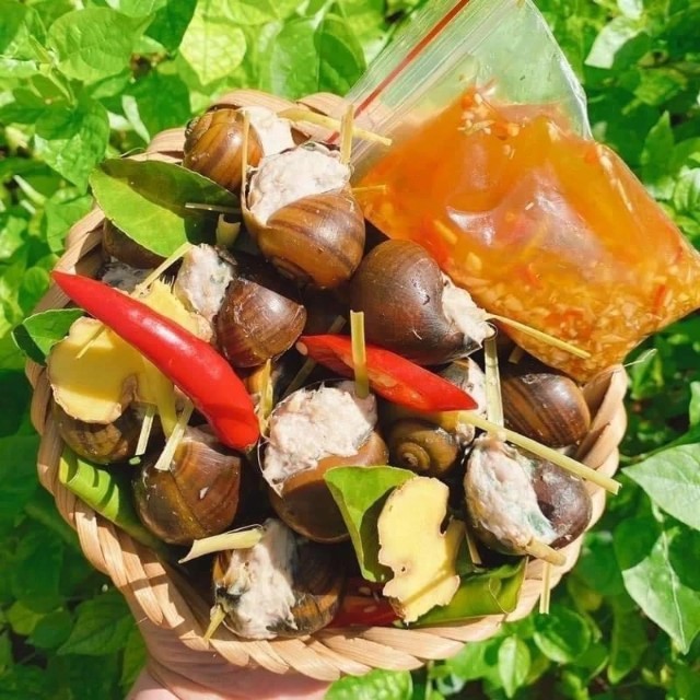 Ốc nhồi thịt vĩ 10-12 con 500g loại ngon (giao hỏa tốc tphcm)