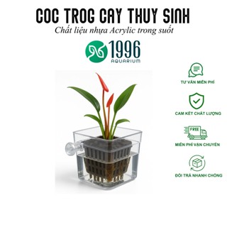 Cốc trồng cây treo thành bể chất liệu mica, Giỏ trồng cây thủy sinh, khoai lang, cỏ nước, cây thủy canh trang trí bể cá