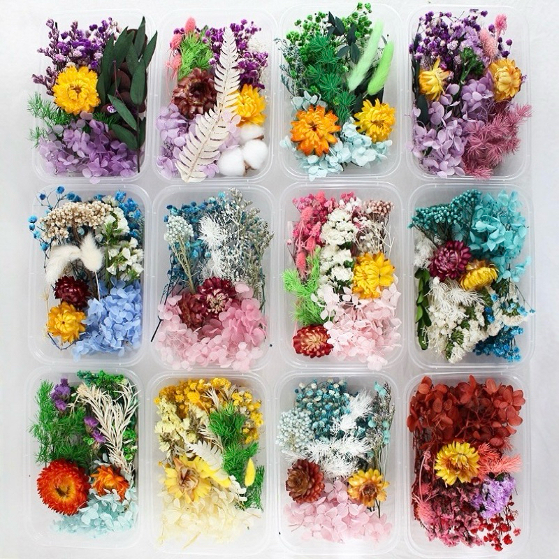 Hoa khô tự nhiên mix hoàn toàn làm đẹp xinh xắn, linh phụ kiện decor xinh - Camellia