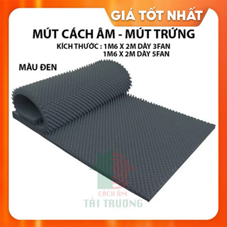 Mút Cách Âm Tiêu Âm Trứng Hột Gà 1M6 x 2M
