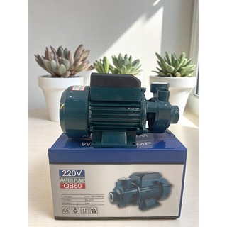  Máy bơm nước mini gia đình QB60 - Bảo hành 6 tháng 