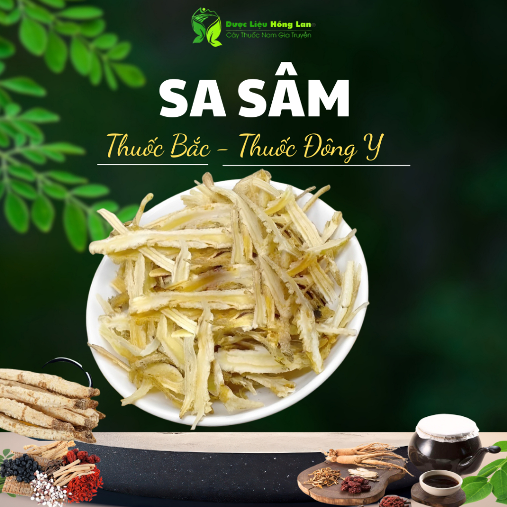 ✅[THƯỢNG HẠNG] Sa Sâm đẹp loại 1 - (Hàng chính hãng Công Ty)