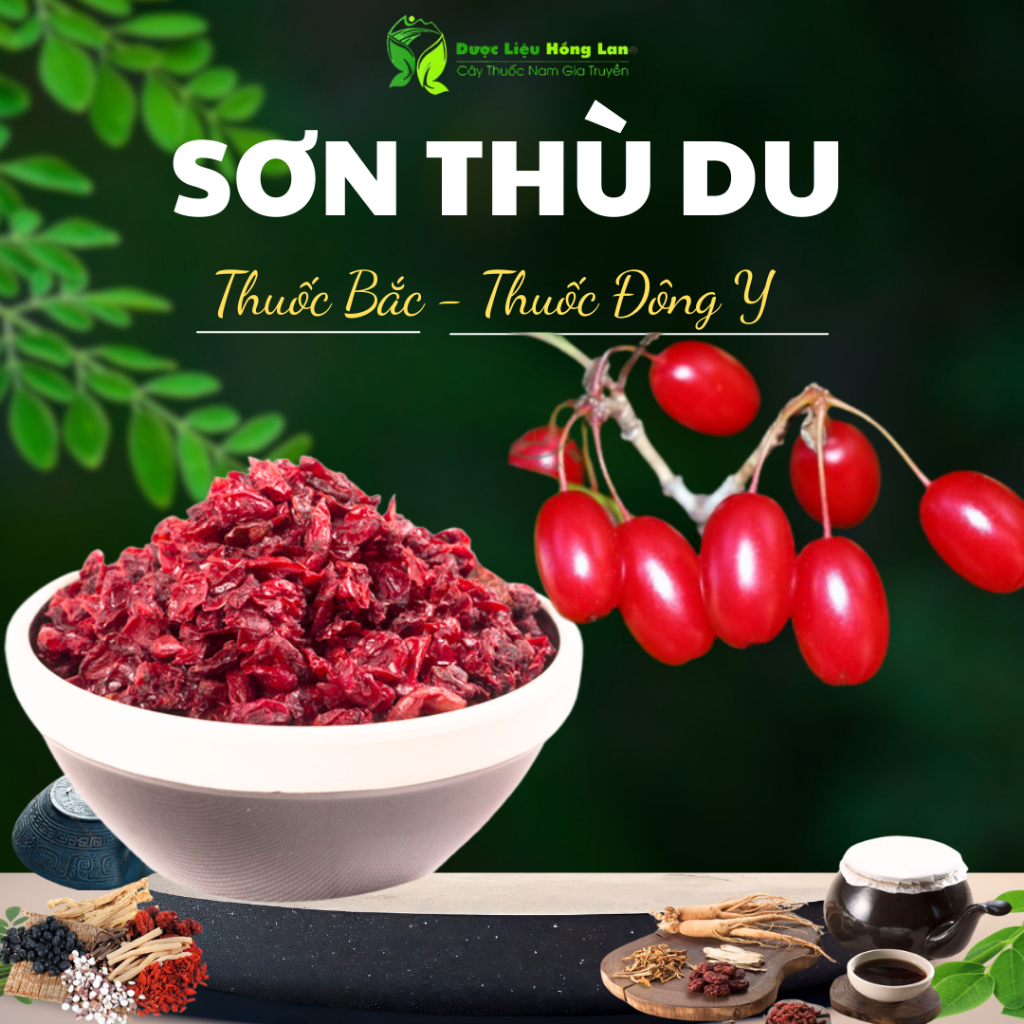 Quả Sơn Thù Du đẹp nguyên chất loại 1 - Dược Liệu Hồng Lan