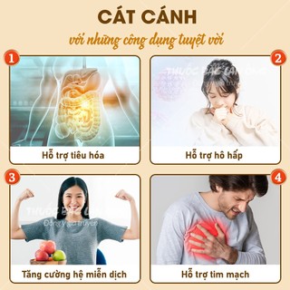 Cát cánh khô 500g, củ cát cánh nguyên củ, giúp giảm ho, tiêu đờm, bổ phế, tốt cho hệ hô hấp