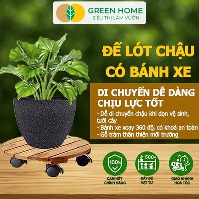 Đế Lót Chậu Cây Greenhome, R30xc8cm, Bằng Gỗ Có Bánh Xe, Tiện Lợi, Di Chuyển Chậu Nặng Dễ Dàng