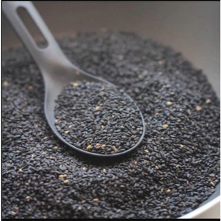 BASIC. Roasted Black Sesame (Kem gelato Mè đen)
