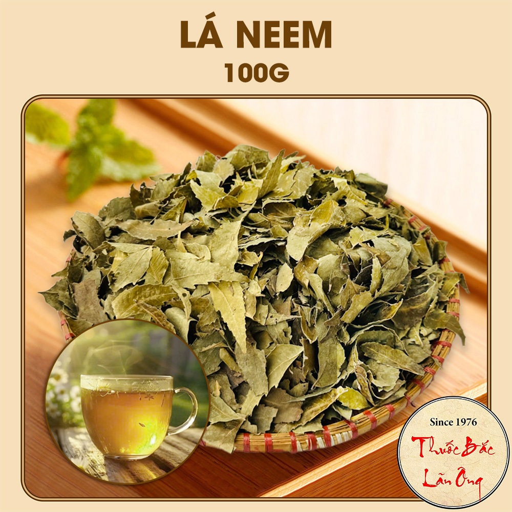 Lá neem khô 100g (Lá xoan ấn độ, lá nem kháng khuẩn)
