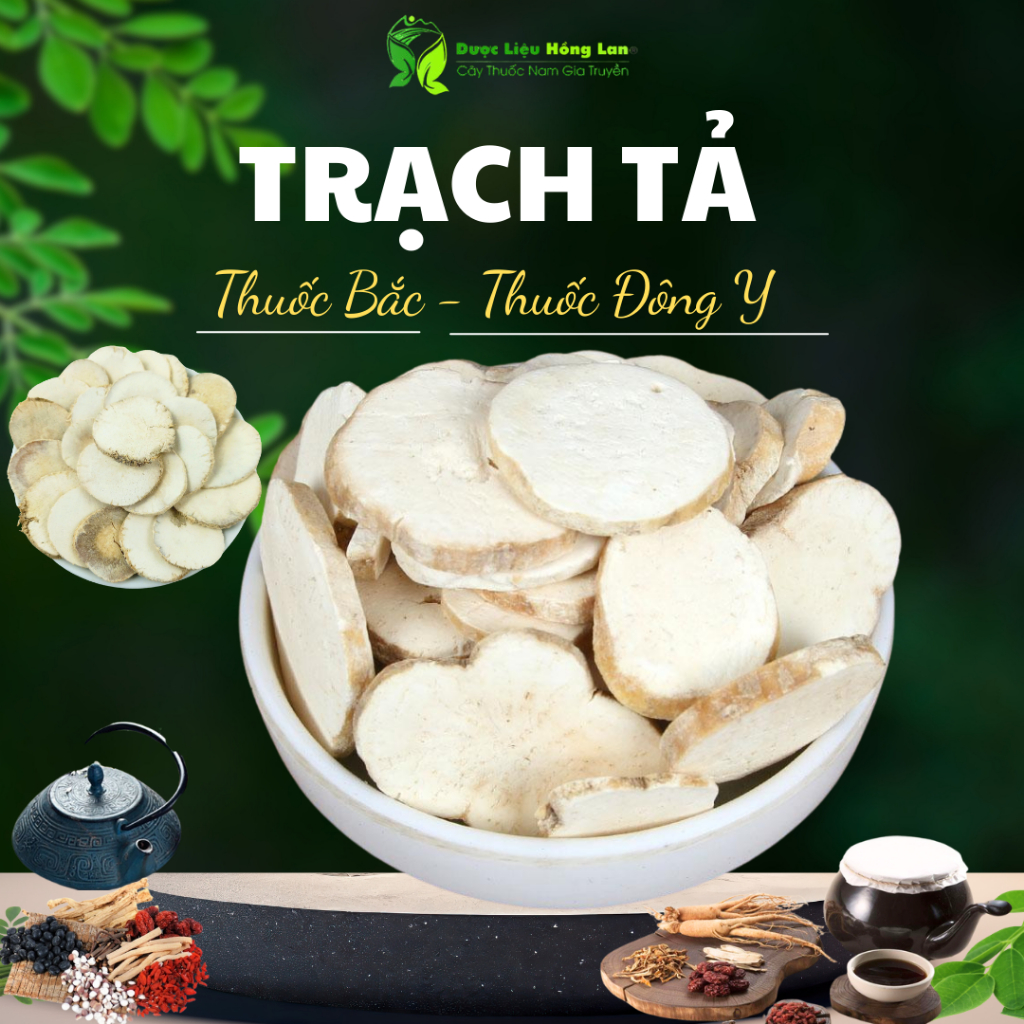 Trạch Tả đẹp loại 1 nguyên chất - Dược Liệu Hồng Lan