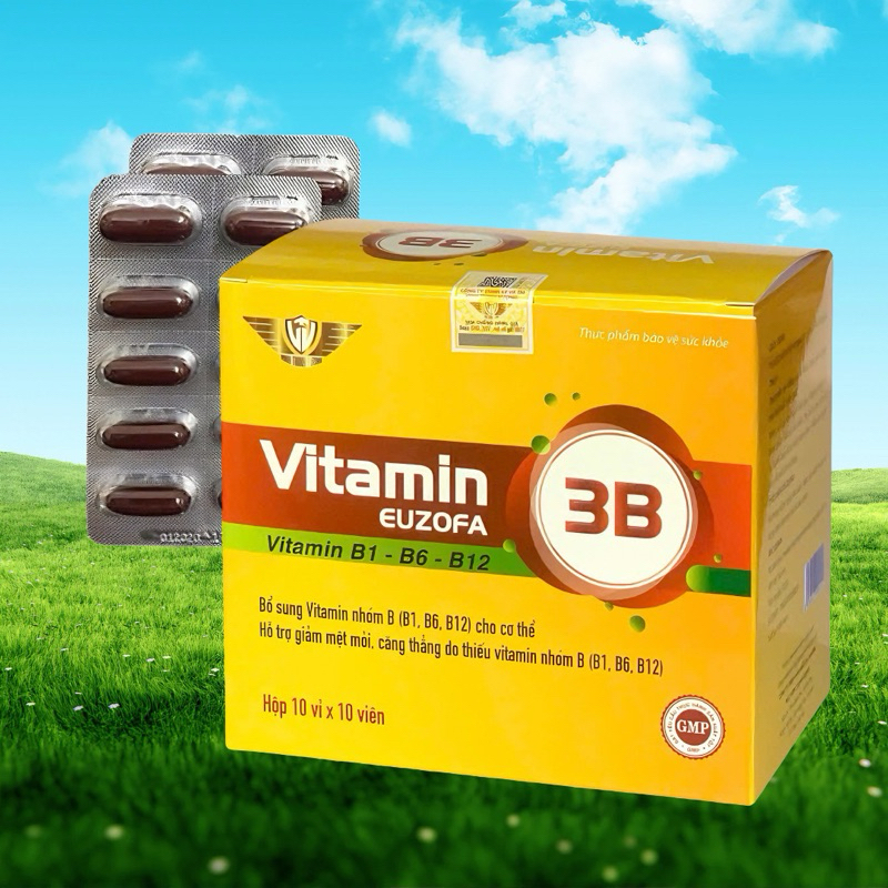 Vitamin 3B Euzofa Kingphar 3 , hộp 100 viên nang mềm