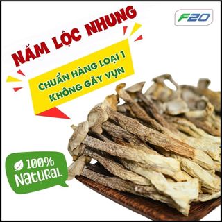  {GIÁ SỈ 5.KG  3.KG} Nấm Lộc Nhung Khô  Nấm Nhung Hươu  Loại 1 | Nguyên Thân Không Vụn Ngọt Ngon 