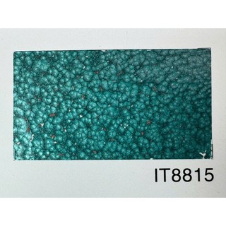SƠN VÂN BÔNG INTER CHÍNH HÃNG – HIỆU ỨNG VÂN ĐÁ ĐỘC ĐÁO, BỀN BỈ VƯỢT TRỘI (Bảng màu 1)