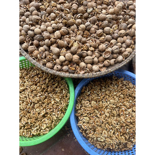 COMBO 2KG QUẢ ÓC CHÓ VỎ GIẤY