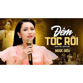 CD.2: Ngọc Diệu: Giọt Buồn Không Tên 15 Bài Hát Lossless